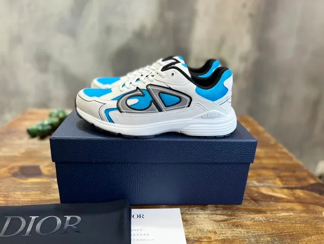 Dior B22