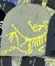 Arc'teryx Beanie Dinosaur Print