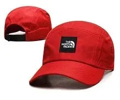 The North Face Cotton Cap Classic Logo