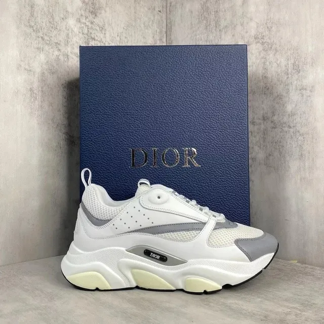 Dior B22 White Grey