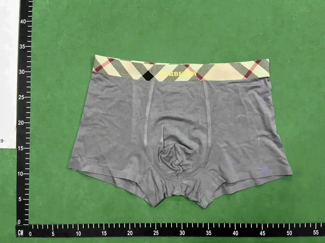 Burberry Boxer Brief Checkered Waistband