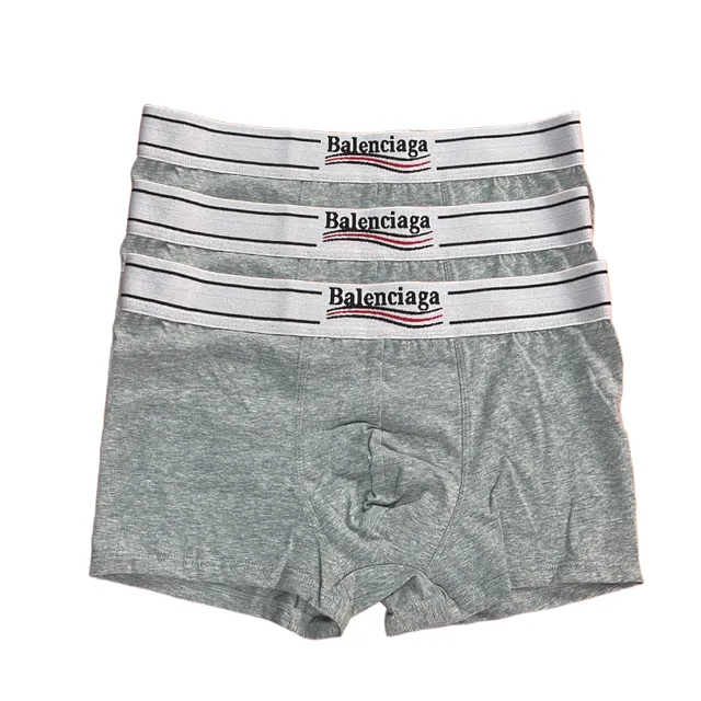 Balenciaga Boxer Brief Logo Waistband