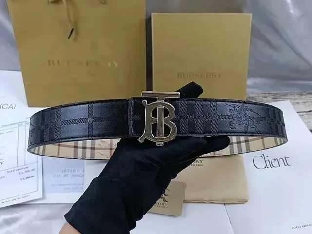 Burberry TB Logo Belt Check Print