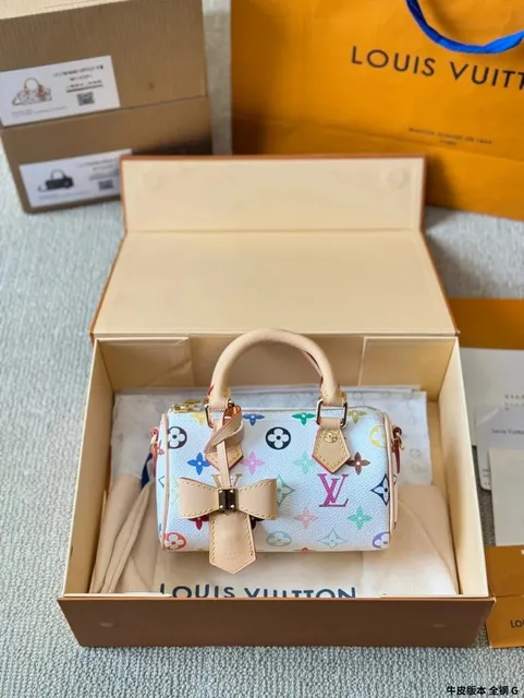 Louis Vuitton Speedy 20 Multicolor Monogram