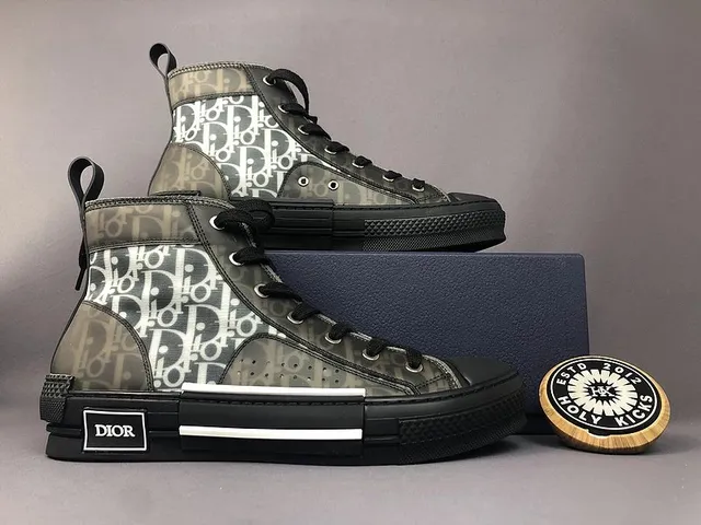 Dior B22 High Oblique Print