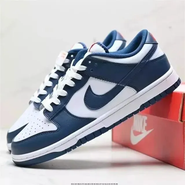 Nike Dunk Low Navy and White