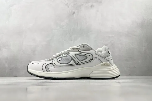 Dior B22 White Grey