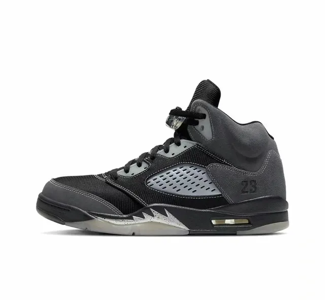 Air Jordan 5 Stealth
