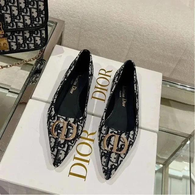 Dior B22 Loafer Oblique Print