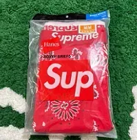 Supreme Box Logo Tee Bandana Print