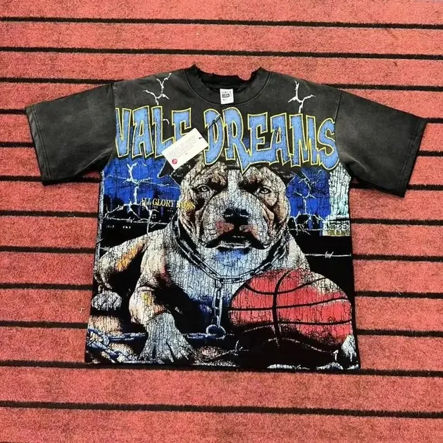 Vale Forever Graphic Tee Vale Dreams Pitbull