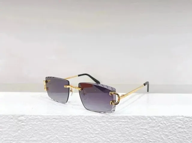 Cartier Juste Un Clou Sunglasses Gold Frame Gradient Lens