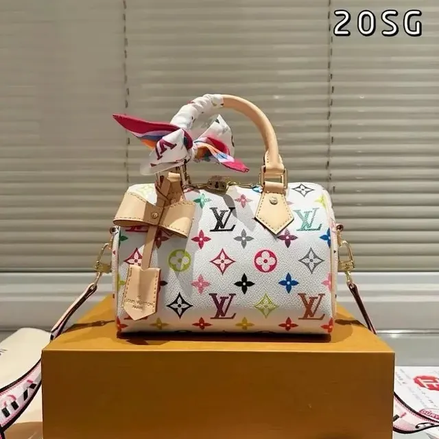 Louis Vuitton Speedy 20 Multicolor Monogram
