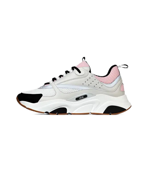 Dior B22