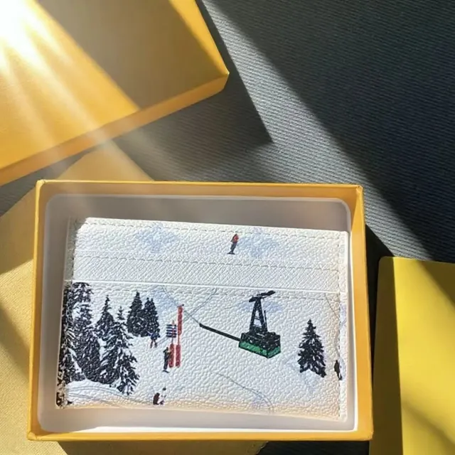 Louis Vuitton Card Holder Ski Resort Print