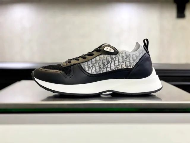 Dior B22 Oblique Print