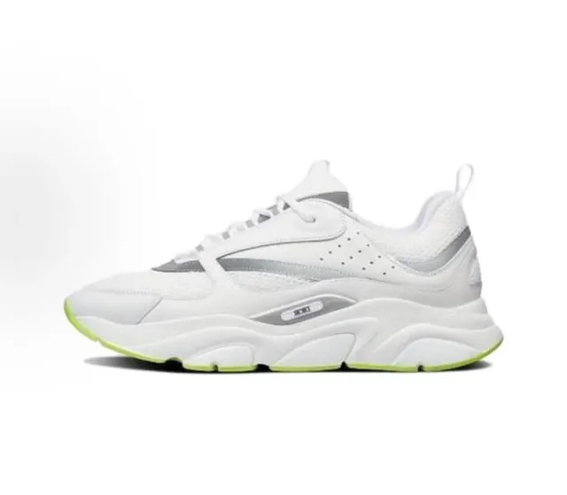Dior B22 White Grey Volt