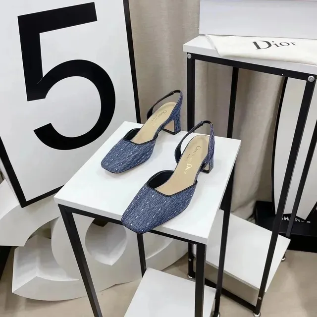 Dior B22 Slingback Denim Texture