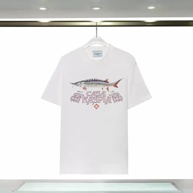 8135白
