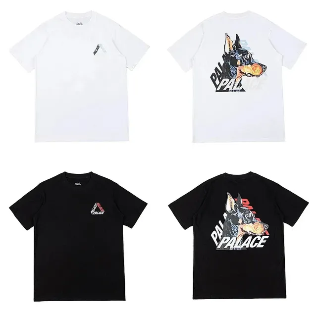 白9