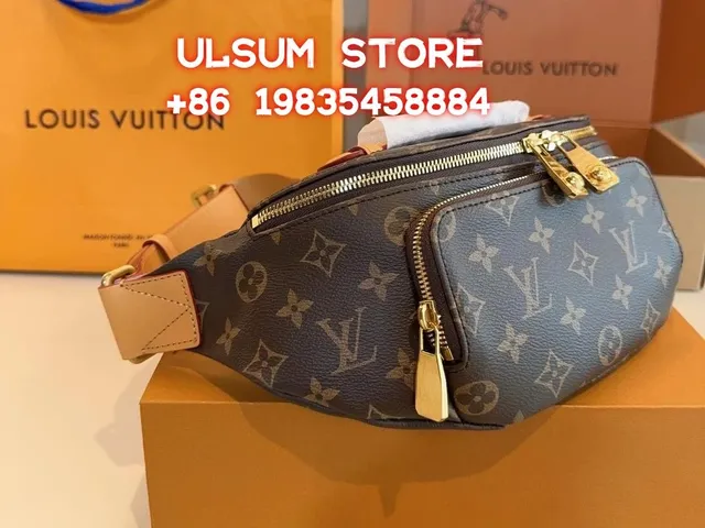 Louis Vuitton Belt Bag Monogram Canvas