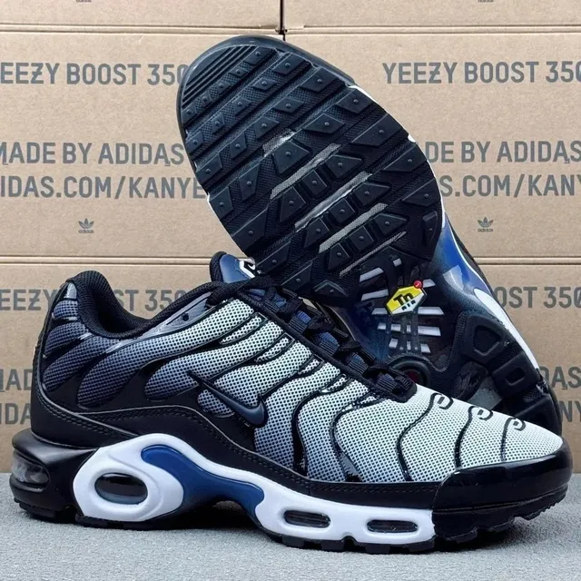AIR MAX PIUS TN 蓝白 DH4776-100