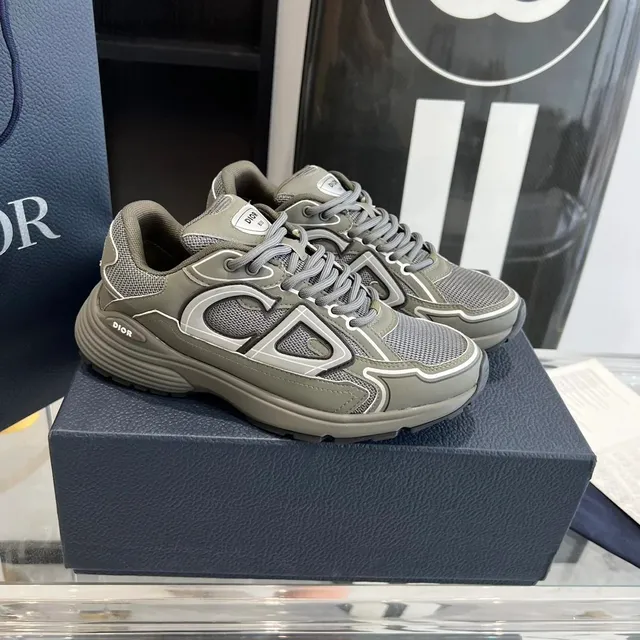 Dior B22 Grey Mesh