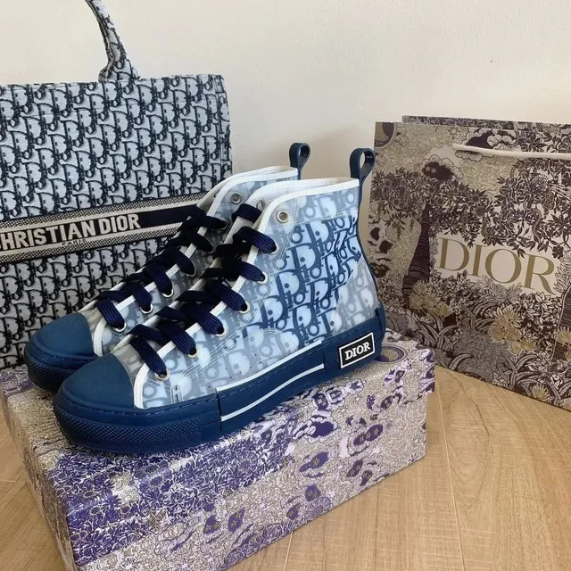 Dior B22 High Oblique Print