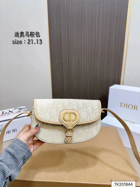 Dior Saddle Bag Oblique Canvas
