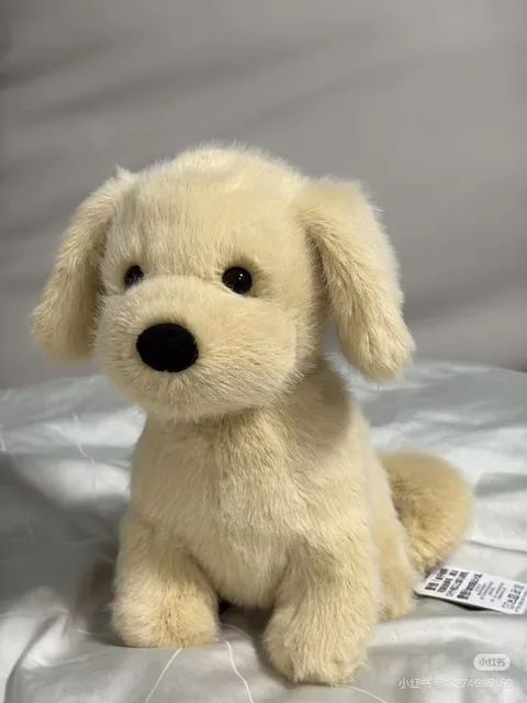 Little Golden Retriever Dog
