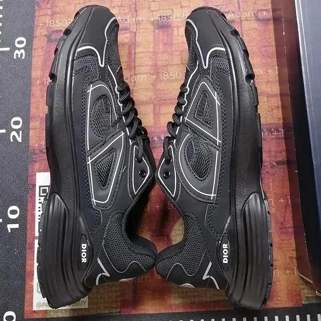 Dior B22
