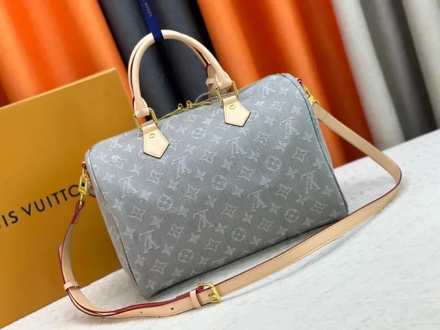 Louis Vuitton Speedy Monogram Eclipse