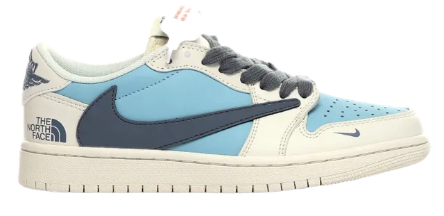 Nike Dunk Low The North Face