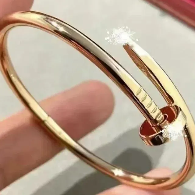Cartier Juste Un Clou Bracelet Large Model