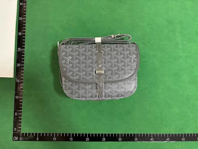 Goyard Saint Louis Monogram Canvas