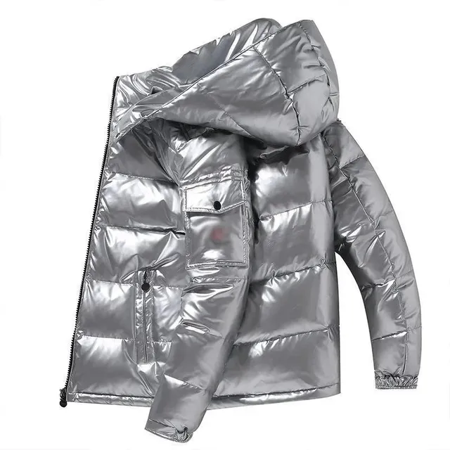 Puffer Jacket Metallic Silver