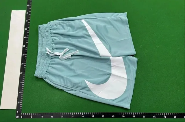 Nike Sport Shorts Swoosh Logo