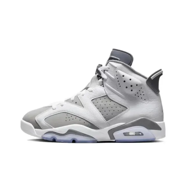 Air Jordan 6