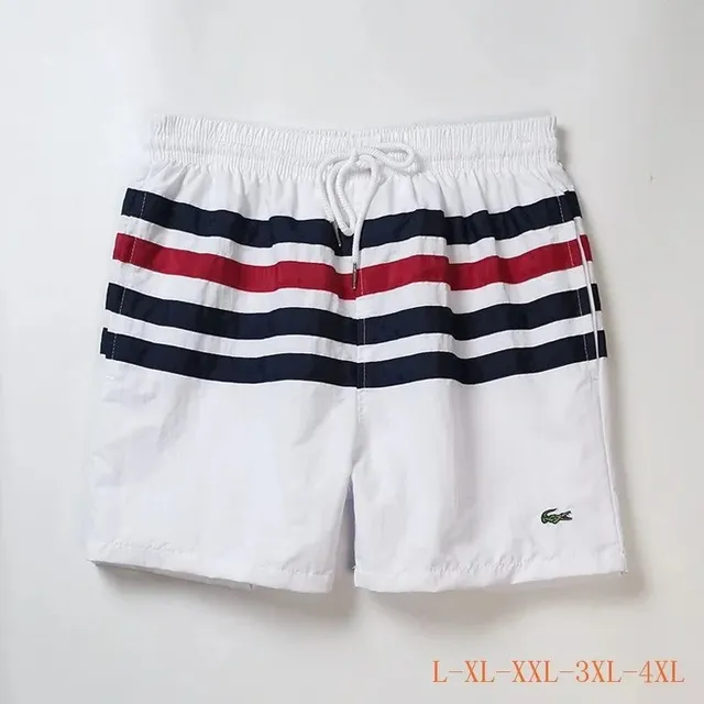 Lacoste Striped Swim Shorts Navy and Red Stripe