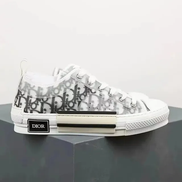 Dior B22 Oblique Print
