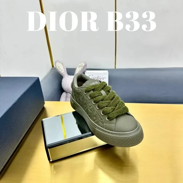 Dior B33