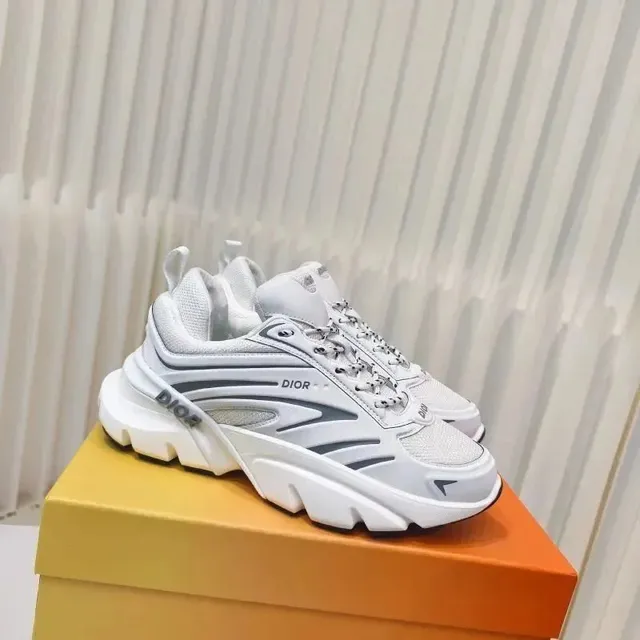 Dior B22 White Grey