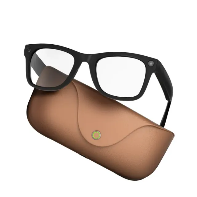 Ray-Ban Wayfarer Matte Black