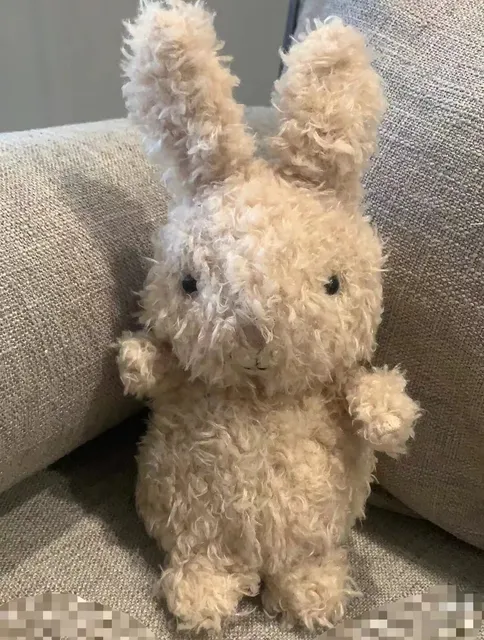 Curly-haired Bunny