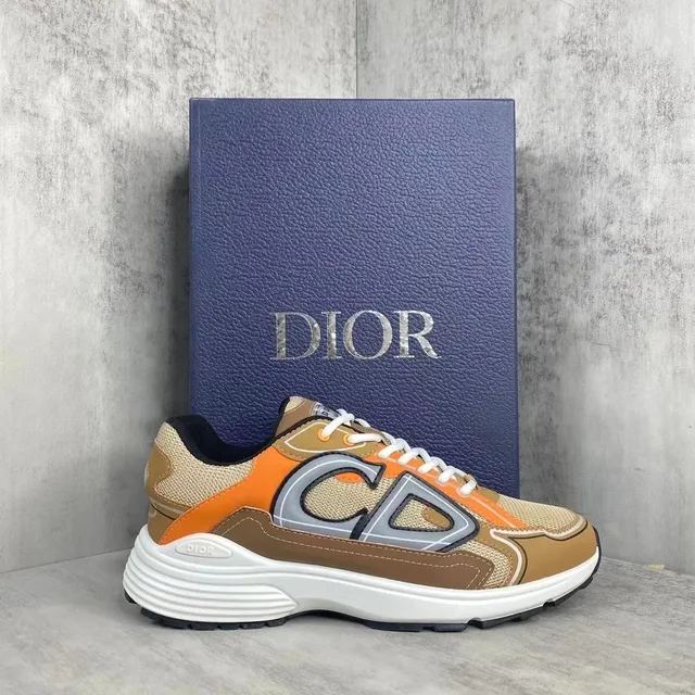 Dior B22 Multicolor