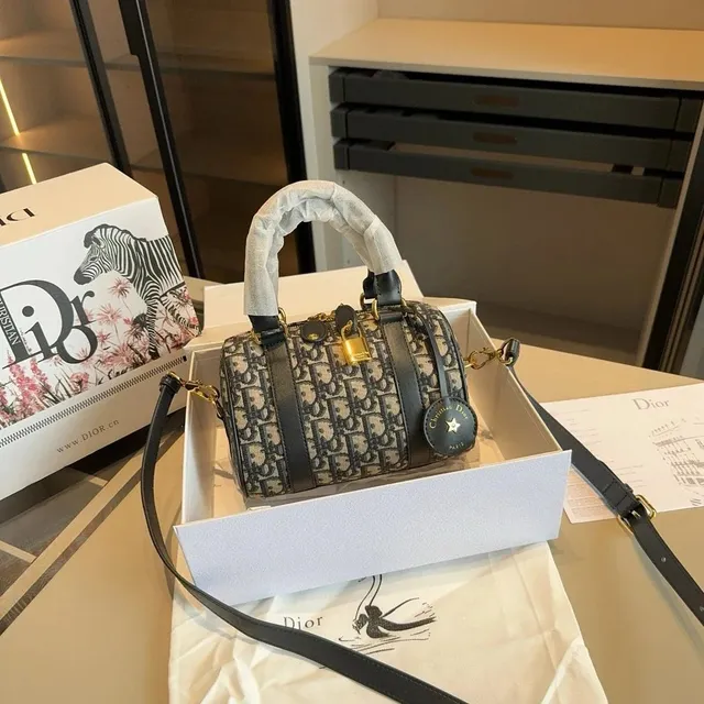 Dior Saddle Bag Oblique Canvas