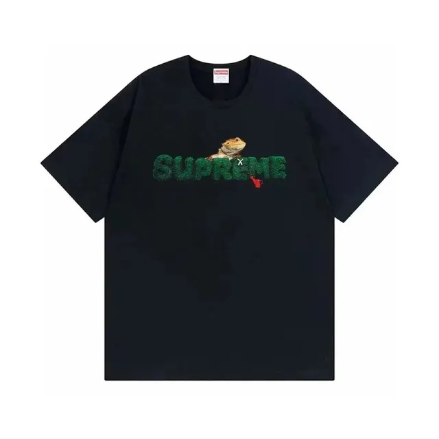 Supreme Box Logo Tee Bearded Dragon