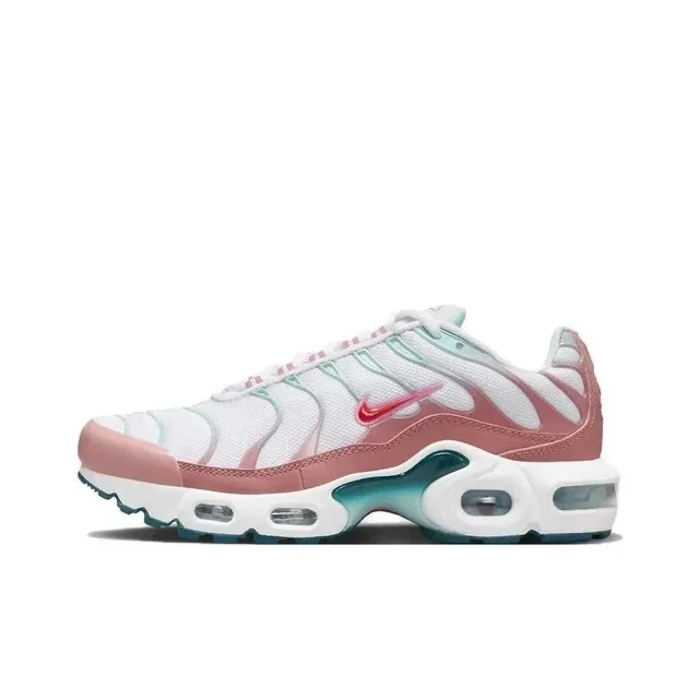 Dc Sneakers Shop