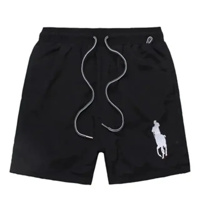Polo Ralph Lauren Polo Shorts Big Pony