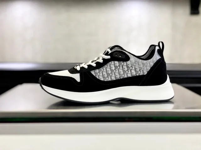 Dior B22 Oblique Print
